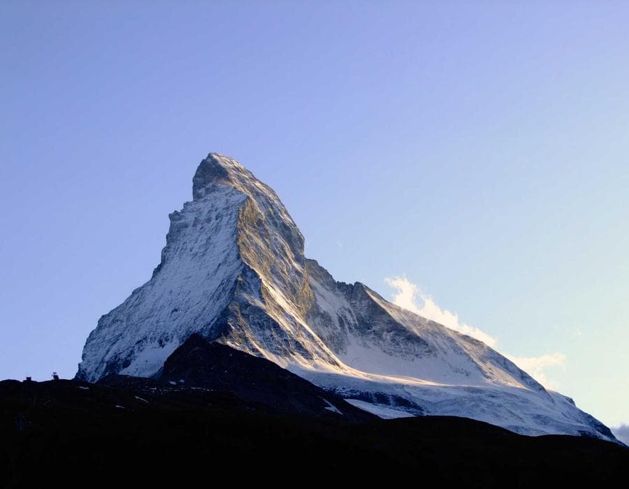 Neighborhood Organizer Portraits